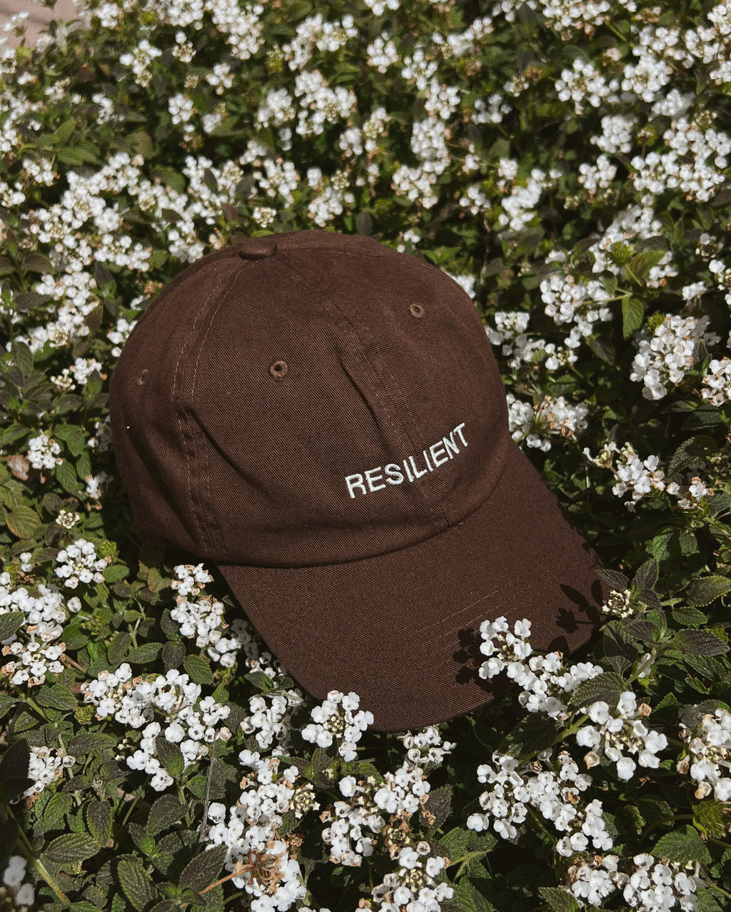 RESILIENT CAP ~ CHOCOLATE (Pre-Order)